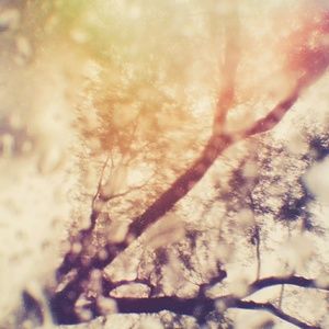 Meet your Posher, Jeremy